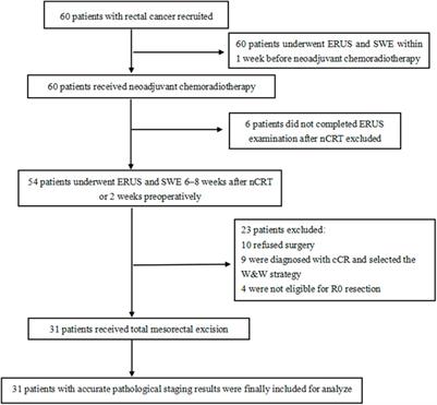 A prospective study on using shear wave elastography to predict the ypT0 stage of rectal cancer after neoadjuvant therapy: a new support for the watch-and-wait approach?